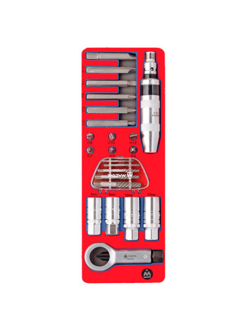 Набор демонтажный с ударной отвёрткой, ложемент, 24 предмета МАСТАК 5-19424