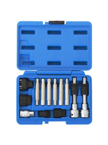Набор специальных головок и насадок для шкива генератора, кейс, 13 предметов МАСТАК 106-10013C