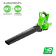 Аккумуляторный воздуходув-садовый пылесос GREENWORKS GD40BV 24227UB
