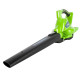 Аккумуляторный воздуходув-пылесос GREENWORKS GD40BV 24227