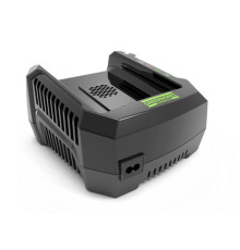 Зарядное устройство Greenworks G82C 2914707