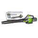 Аккумуляторный воздуходув GREENWORKS GD60ABK2 2401307UB