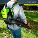 Аккумуляторный ранцевый воздуходув GREENWORKS GD60BPB 2402307