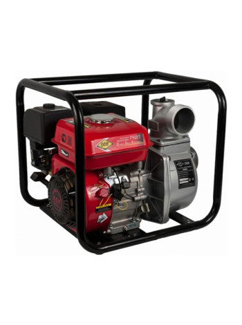 Бензиновая мотопомпа DDE PN81