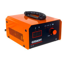 Зарядное устройство Gigant GC-20