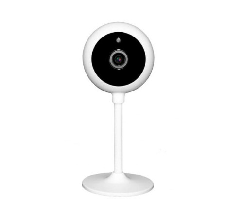 Сетевая беспроводная (Wi-Fi) видеокамера Falcon Eye Spaik 2