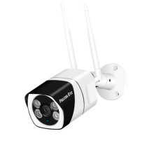 Сетевая беспроводная (Wi-Fi) видеокамера Falcon Eye Jager