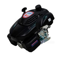 Двигатель LIFAN 1P70FV-B D22 00-00000178
