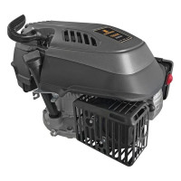 Двигатель 196VМ (6.3 л.с.верт. вал d=22, V196 см3, для газонокосилки) Carver 01.025.00086