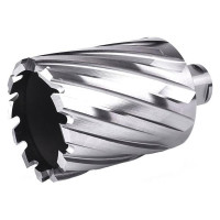 Фреза кольцевая №29 (35х55/88 мм; WELDON19; HSS M2) Профоснастка 40101029