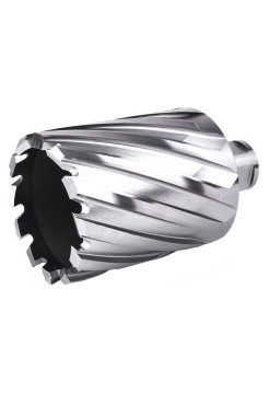 Фреза кольцевая №24 (30х55/88 мм; WELDON19; HSS M2) Профоснастка 40101024