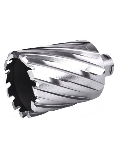 Фреза кольцевая №25 (31х55/88 мм; WELDON19; HSS M2) Профоснастка 40101025