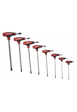 Набор шестигранных Т-образных ключей IZELTAS 8 предметов 4920008108