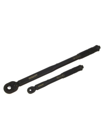 Набор динамометрических ключей Gigant 2 предмета 1/2 (28-210Нм)+1/4(5-25Нм) GKD-1